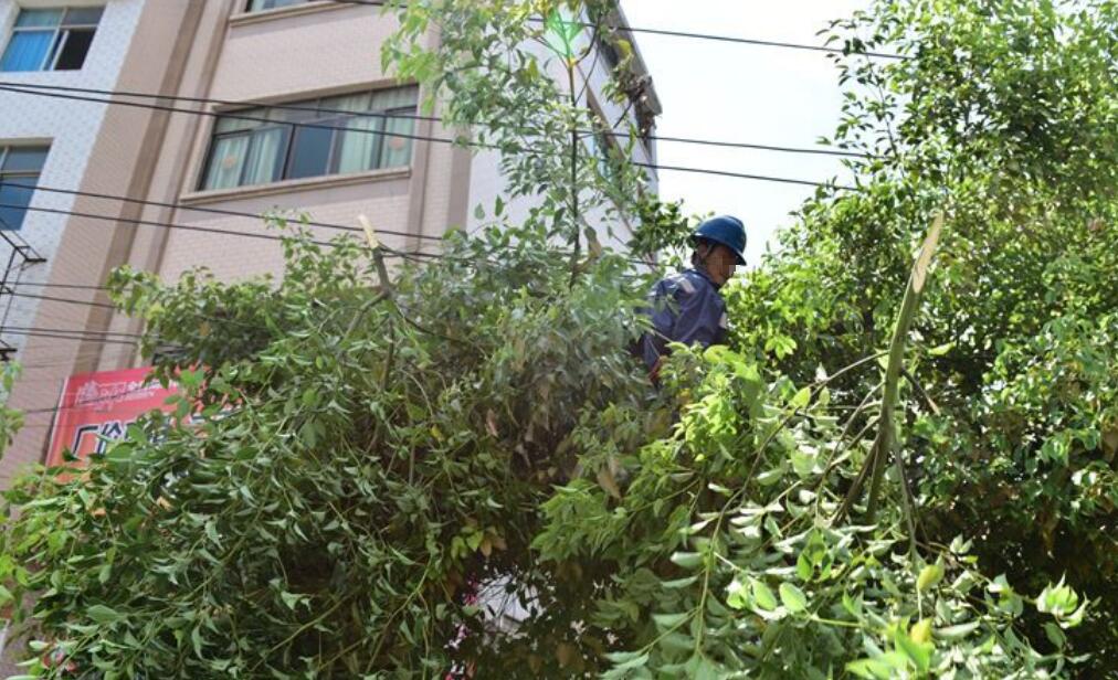 輸電線路防外破監測